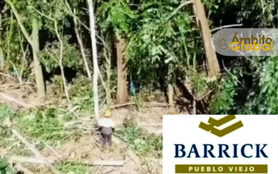 PLD acusa al Gobierno de permitir crimen ambiental en el río Naranjo